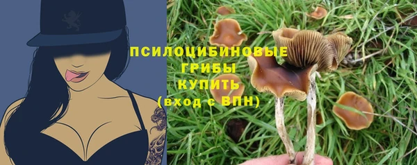 MESCALINE Алзамай