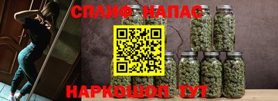 СК Краснознаменск