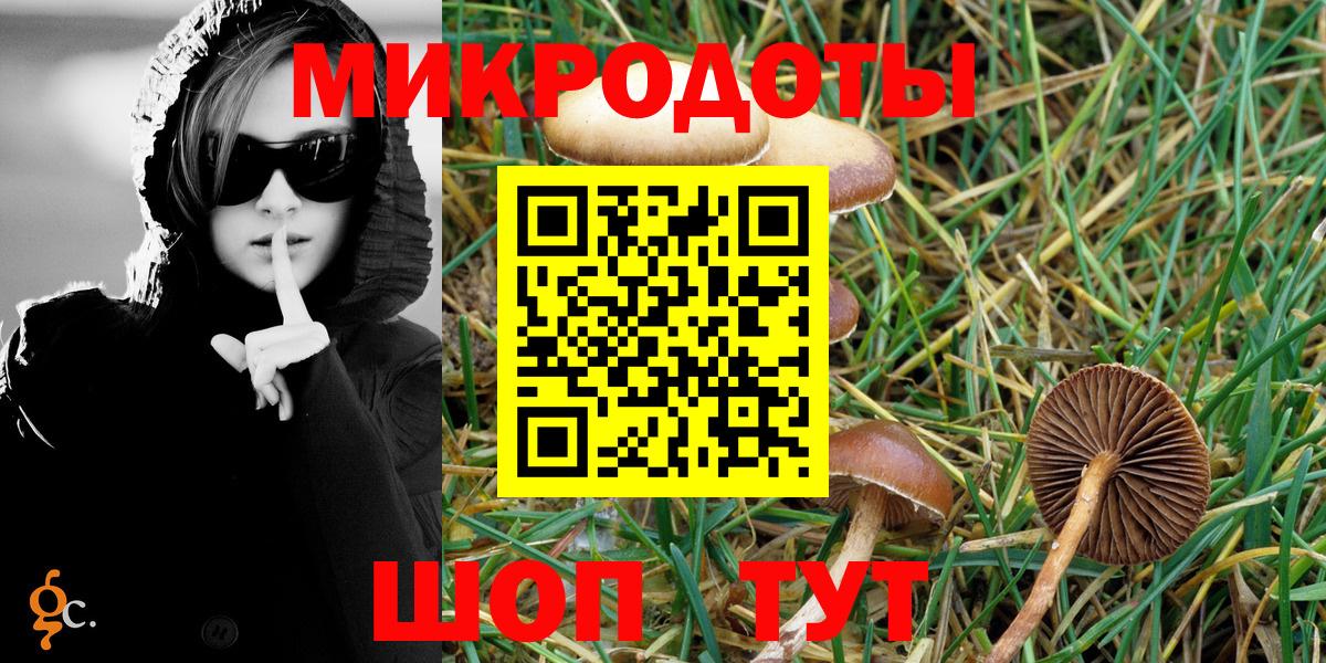 Галлюциногенные грибы Magic Shrooms Камышин
