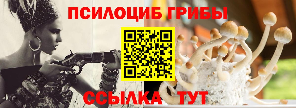 Псилоцибиновые грибы мицелий  Вход с VPN  Камышин 